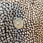 Borbonese Redwall Brown Leather‎ Made In Italy Vintage Top Zip Crossbody Purse Photo 8