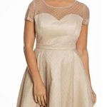 Lindy Bop Leona Almond Polka Dot‎ Mesh Prom Dress Beige Plus Size 3XL Photo 0