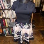Ted Baker pansy dipped hem Enchantment luxe 6 skater dress Photo 3