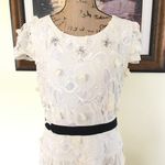 BCBG Maxazria Dress Photo 4