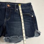 Level 99 Blue Jean Shorts Distressed Cut Photo 1