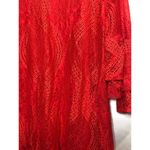 Boutique  Lace Bell Ruffle Sleeve Small Miami Photo 61