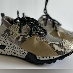 Steve Madden  Cliff Sneakers. Photo 1