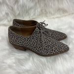 Lucky Brand Erreka Lace-Up Leather Oxford Titanium Romo Leopard Size 7.5 BIN 16 Photo 5