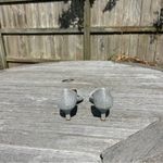 Badgley Mischka Jewel Dotty Glitter D'orsay Kitten Heel size 6 Photo 6