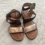 Diba True  Black Gold Fair Enough Leather Ankle Strap Sandals Size 8 Photo 2