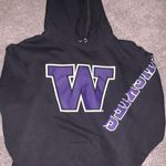 Champion Washington Huskies Hoodie Photo 0