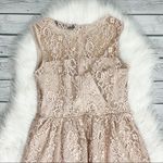 ZARA  Lace pink/ Cream A-Line Dress Photo 1