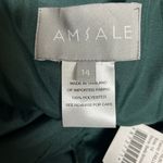 Amsale Jacqueline Gown Formal Dress Size 14 Hunter Green V Photo 4