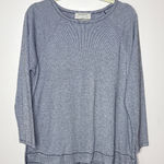ZARA  Trafaluc Large‎ Fine Striped Long Sleeve Crew Neck High Low Hem Stretch Top Photo 0