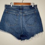 Abercrombie & Fitch Abercrombie Fitch The Dad Short High Rise Curve Love Womens 32 14 Button Fly Photo 1