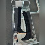 Alexandre Birman  Boots Photo 4