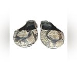 Tory Burch Minnie Flat Size 6.5 Snakeprint Photo 2