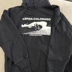 Brandy Melville Aspen Hoodie Photo 0