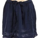 American Eagle Silk skirt Photo 0