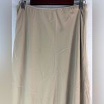 Alex Evenings  L Layered Lined Maxi Skirt in Soft Beige Photo 1