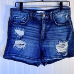 BKE  Buckle Parker Distressed Denim Jean Shorts Women’s Size 29 Photo 0