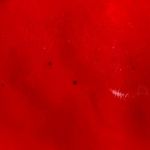 Plinio Visona  Red Patent Leather Silver Chain Strap Crossbody Shoulder Bag Photo 12