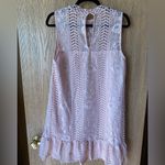 BB Dakota  Mini dress Photo 2