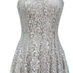 Cache  Nude Metallic Lace Strapless Event Dress Lined Shelf Bra New NWT $188 Photo 7