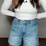 American Eagle Embroidered Floral High Waisted Mom Shorts | Size 6 Photo 2