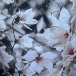 So Danca Kaia Vest Floral Flower Petal Pink Adult Size Medium Dance Ballet New Photo 5