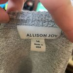 Allison Joy Evereve M soft gray v-neck pullover sweater Photo 2