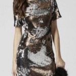 Topshop NWT  sequin Mini Party Dress Short sleeve Bronze Silver Metallic Size 2 Photo 0