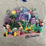 Disney Walt World Parks Womens 1X V Neck Graphic Shirt Varsity Stripes Castle Photo 2
