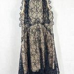 ACLER Burton Lace dress Black Size 6 Photo 0