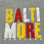 Baltimore Maryland Spell out Graphic Gray Pullover Crewneck Sweatshirt Size L/XL Photo 1