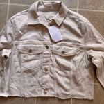 Splendid Women's Cream Jacket Photo 3