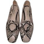 Massimo Dutti  Brown Snake Print Loafers size 37:6 1/2-7 Photo 8