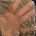 Hollister Forever 21 olive brown sheer burnout raglan elbow sleeve one pocket tee Photo 4