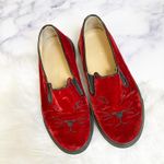 Charlotte Olympia Velvet Cat slip ins Photo 2