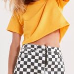 Urban Outfitters Skirt Photo 0