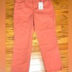 Gloria Vanderbilt Gloria Vanderbilt- Women's Amanda Classic High Rise Tapered Jean Size 16 Photo 1