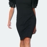 Shani Dramatic Rosette Sleeve Crepe Sheath Cocktail Dress Black Size 12 Photo 0