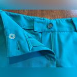 Nike  Golf Tour Performance Dri Fit Teal Shorts -Size 0 Photo 2