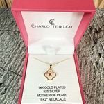 NIB Charlotte & Lexi 14KT Gold Plated 925 Sterling K Initial MOP Necklace Photo 0