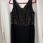 Badgley Mischka Women’s 16 Black Lace Maxi Dress Photo 0