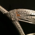 Splash Dressy Heels Photo 5