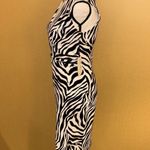 Iris Zebra Striped Midi Dress (NWT) Photo 2