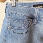 EXPRESS Cut Off Denim Shorts Size 0 Embroidered Floral Patch Distressed Jeans Photo 4