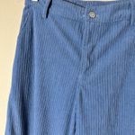 Wild Fable Velour Corduroy Wide Leg Trousers Cargo Pants Size XS Photo 2