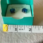 Origami Owl : 2018 Blue Clara’s Silver Tone Earrings Photo 8