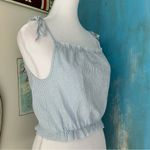 Brandy Melville  John Galt Blue Striped Tank Top Photo 1