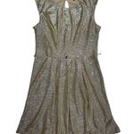 Gold Shimmer Skater Dress (L) Photo 1