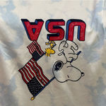 Peanuts Snoopy USA Sweater size L Blue Size L Photo 1