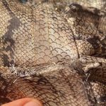 Adrienne  Beige Snake Print Long Sleeve Dress Photo 8